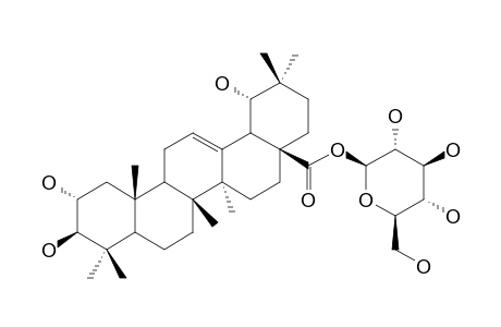 ARJUNETIN