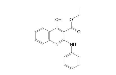 2-anilino-4-hydroxy-3-quinolinecarboxylic acid, ethyl ester