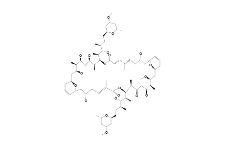 HURGHADOLIDE_A