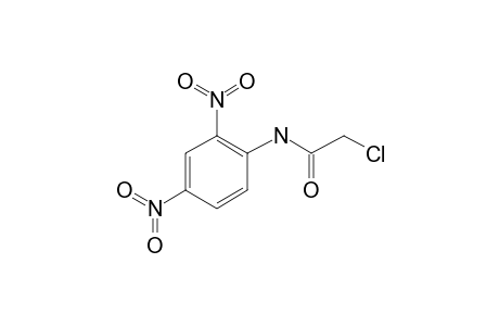 2-Chloro-N-(2,4-dinitrophenyl)acetamide