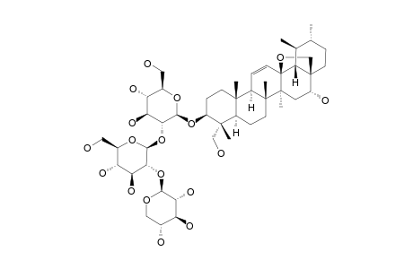 ROTUNDIFOLIOSIDE-G;#7;13-BETA,28-EPOXY-16-ALPHA,23-DIHYDROXY-URS-11-EN-3-BETA-YL-BETA-D-XYLOPARANOYL-(1->2)-BETA-D-GLUCOPYRANOSYL-(1->2)-BETA-D-GLUCOPYRANOSIDE