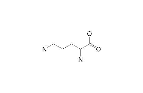 ORNITHINE;REACTED-WITH-HCHO