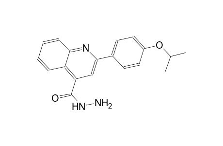 2-(4-isopropoxyphenyl)-4-quinolinecarbohydrazide