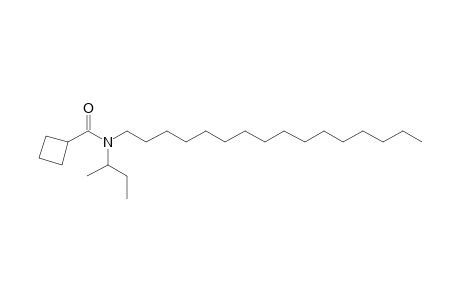 Cyclobutanecarboxamide, N-(2-butyl)-N-hexadecyl-