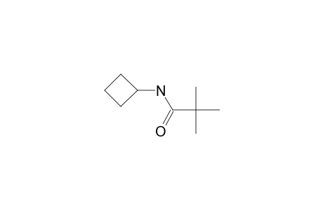 Cyclobutylamine, N-trimethylacetyl-