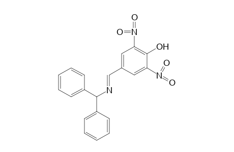 2,6-dinitro-4-[N-(diphenylmethyl)formimidoyl]phenol
