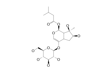 8-Epi-valerosidatum