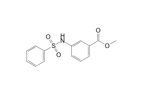 m-(benzenesulfonamido)benzoic acid, methyl ester