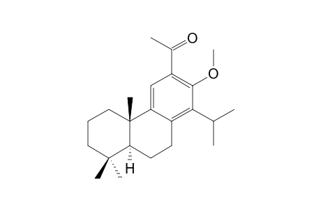 12-ACETYL-13-METHOXYTOTARA-8,11,13-TRIENE
