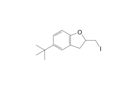 5-(tert-Butyl)-2,3-dihydro-2-(iodomethyl)benzofuran