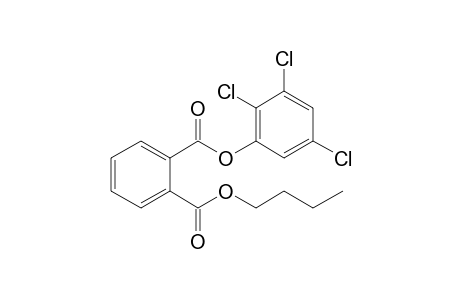 Phthalic acid, butyl 2,3,5-trichlorophenyl ester