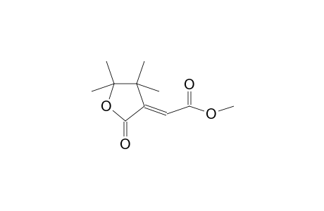 Acetic acid, (dihydro-4,4,5,5-tetramethyl-2-oxo-3(2H)-furanylidene)-, methyl ester, (E)-