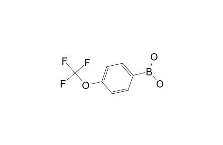 4-(Trifluoromethoxy)benzeneboronic acid