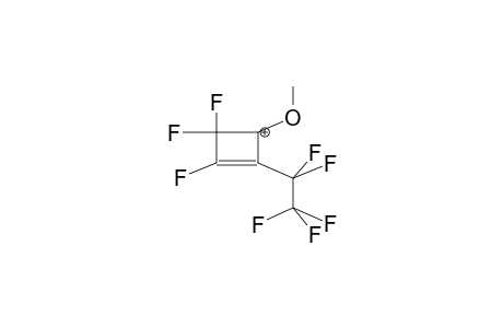 1-METHOXYPERFLUORO-2-ETHYLCYCLOBUTEN-3-YL CATION