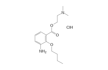 3-amino-2-butoxybenzoic acid, 2-(dimethylamino)ethyl ester, monohydrochloride