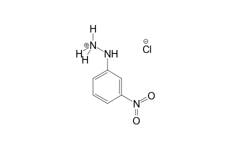 (m-nitrophenyl)hydrazine, hydrochloride