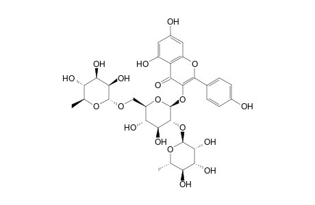 KAEMPFEROL-3-O-(2'',6''-DI-O-ALPHA-RHAMNOPYRANOSYL)-BETA-D-GLUCOPYRANOSIDE