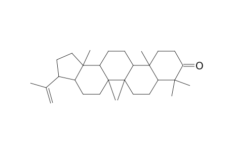 A'-Neogammacer-22(29)-en-3-one