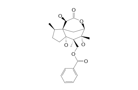 14-O-BENZOYLFLORIDANOLIDE