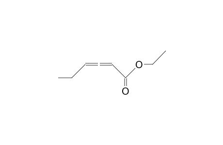 2,3-Hexadienoic acid, ethyl ester