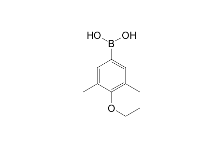 3,5-Dimethyl-4-ethoxybenzeneboronic acid