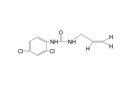 1-allyl-3-(2,4-dichlorophenyl)urea