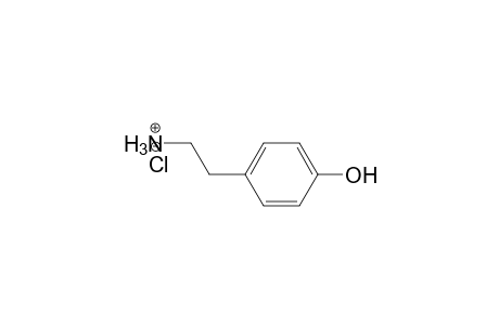 Tyramine HCl