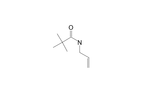 Pivalamide, N-allyl-