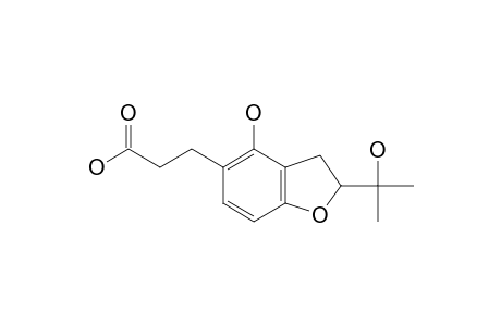 HYUNGANOL-II