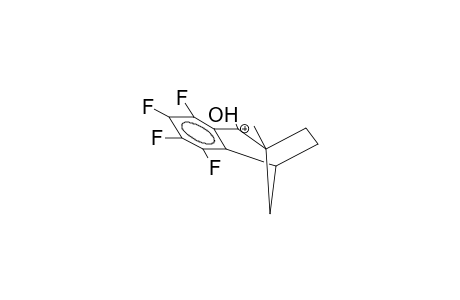 1-METHYL-2-HYDROXY-3,4-TETRAFLUOROBENZOBICYCLO[3.2.1]OCT-3-EN-2-YLCATION