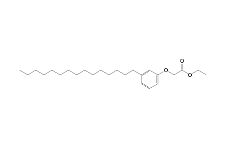 (m-pentadecylphenoxy)acetic acid, ethyl ester