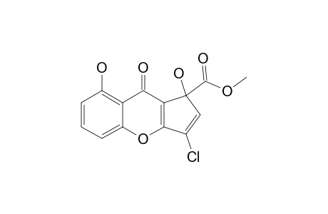 CONIOTHYRIONE