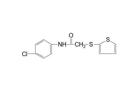 4'-chloro-2-[(2-thienyl)thio]acetanilide