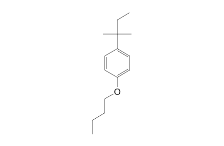 BUTYL p-tert-PENTYLPHENYL ETHER