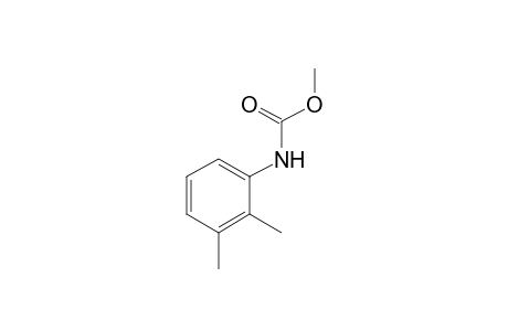 2,3-dimethylcarbanilic acid, methyl ester