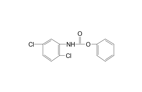 2,5-dichlorocarbanilic acid, phenyl ester