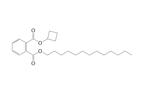 Phthalic acid, cyclobutyl tridecyl ester