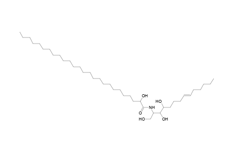 Cer 14:1;3O/26:0;(2OH)