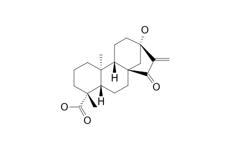 15-oxosteviol