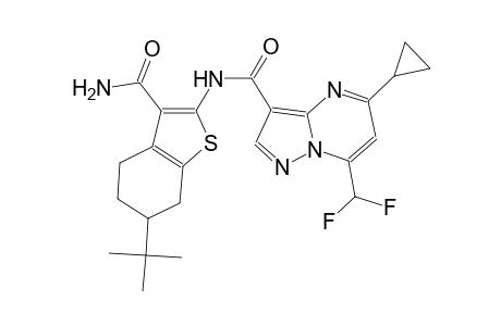 N-[3-(aminocarbonyl)-6-tert-butyl-4,5,6,7-tetrahydro-1-benzothien-2-yl]-5-cyclopropyl-7-(difluoromethyl)pyrazolo[1,5-a]pyrimidine-3-carboxamide