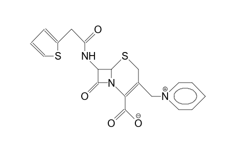 Cephaloridine