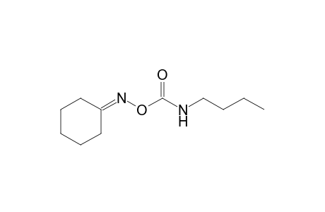 cyclohexanone, O-(butylcarbamoyl)oxime