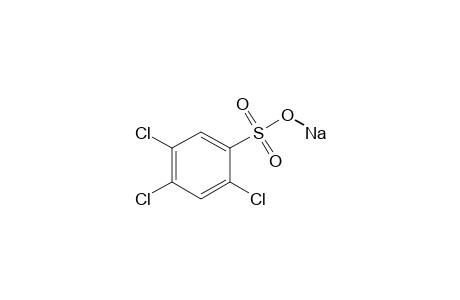 2,4,5-trichlorobenzenesulfonic acid, sodium salt