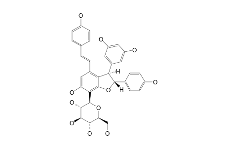 DIPTOINDONESIN-A