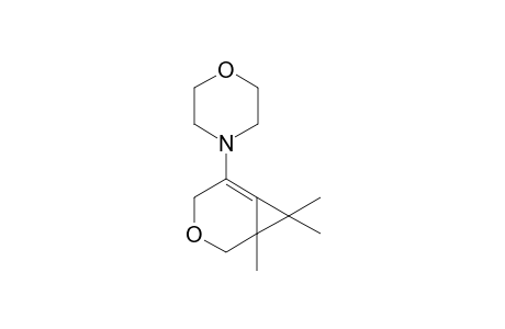 1-(N-perhydro-1,4-oxazinyl)-5,6,6-trimethyl-3-oxa-bicyclo[4.1.0]hept-1(7)-ene