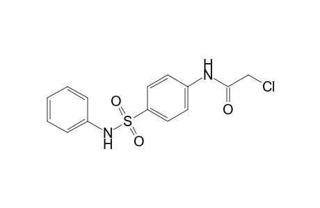 2-chloro-4'-(phenylsulfamoyl)acetanilide