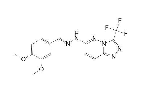 3,4-dimethoxybenzaldehyde [3-(trifluoromethyl)[1,2,4]triazolo[4,3-b]pyridazin-6-yl]hydrazone