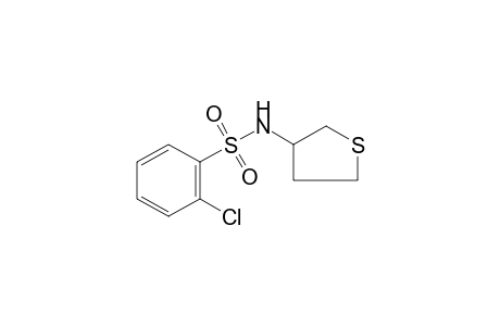 o-chloro-N-(tetrahydro-3-thienyl)benzenesulfonamide