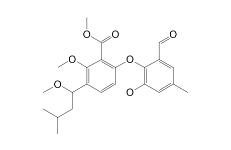 TENELLIC_ACID-A-METHYLESTER