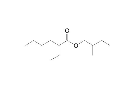 2-Methylbutyl 2-ethylhexanoate